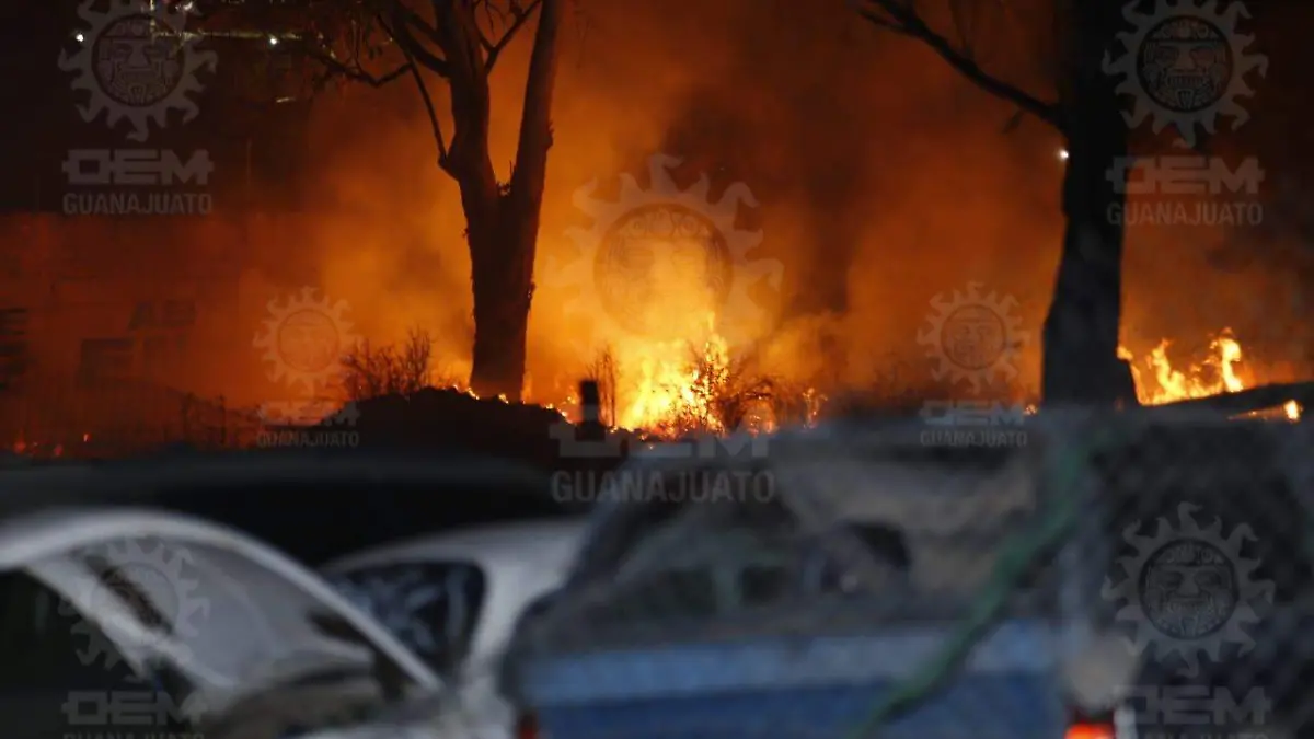 INCENDIO YONKE LOMA LOS SAUCES. FOTOS JPG NOTICIAS VESPERTINAS (7)